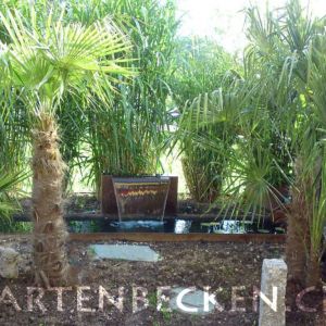 Gartenbecken 001